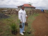 James planting tree