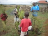 Children helping
