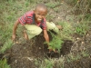 Children helping plant trees