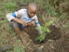 Children helping plant trees