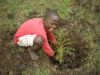 Children helping plant trees