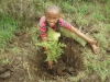 Children helping plant trees