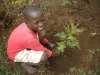 Children helping plant trees