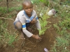 Children helping plant trees