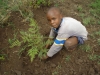 Children helping plant trees