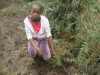 Children helping plant trees