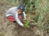 Children helping plant trees
