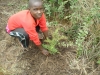 Children helping plant trees