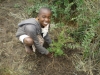 Children helping plant trees