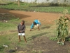 Children playing outside