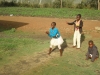 Children playing outside